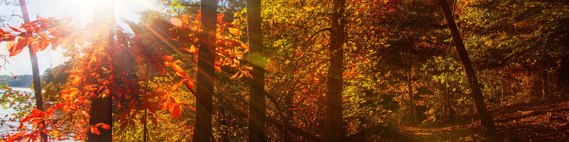 A scenic autumn sunset view of Lake Norman in North Carolina.