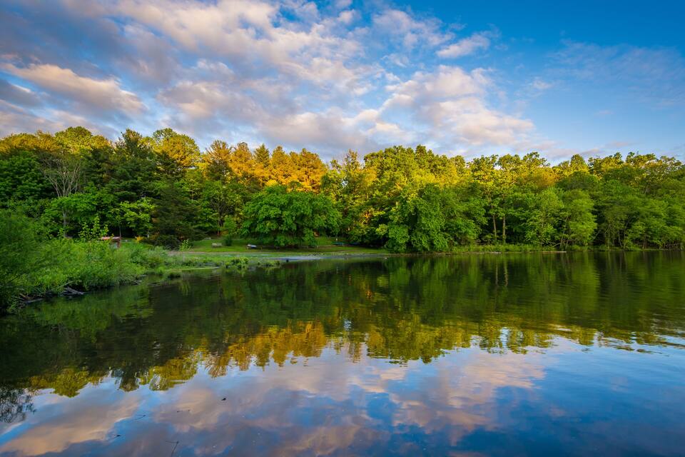 A calm lake surrounded by dense green trees and a clear sky with clouds.