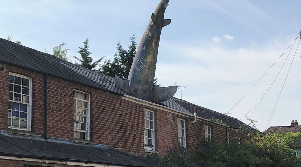 Guy constructs a shark into his roof. Becomes tourist attraction