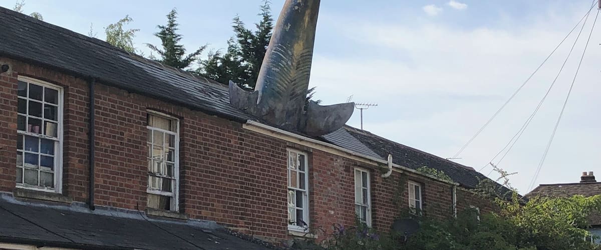 Guy constructs a shark into his roof. Becomes tourist attraction