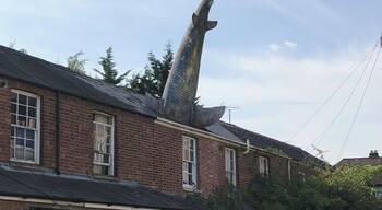 Guy constructs a shark into his roof. Becomes tourist attraction