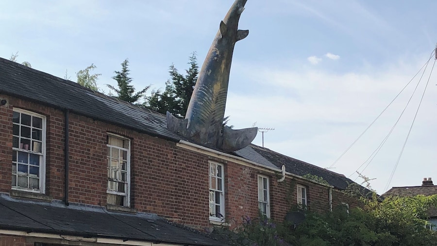 Guy constructs a shark into his roof. Becomes tourist attraction