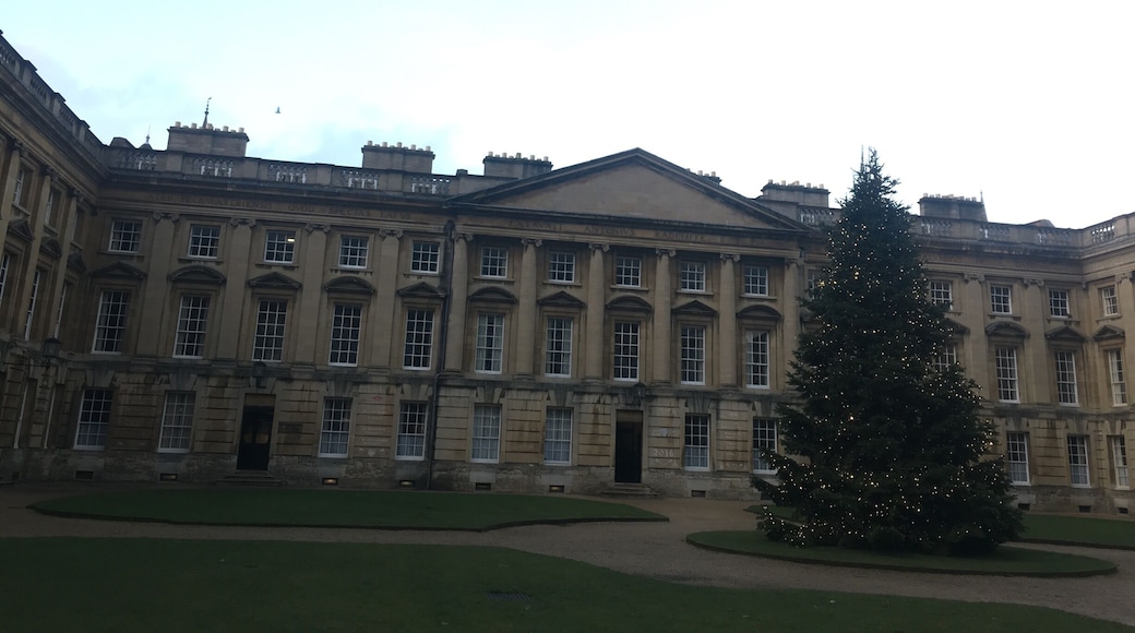 Christchurch christmas tree.