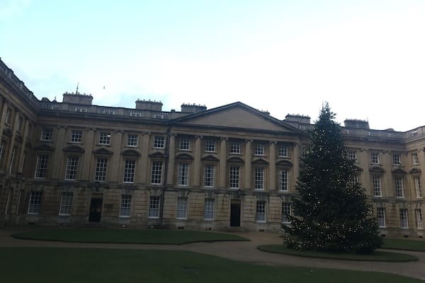 Christchurch christmas tree.