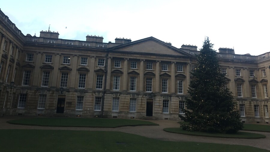 Christchurch christmas tree.