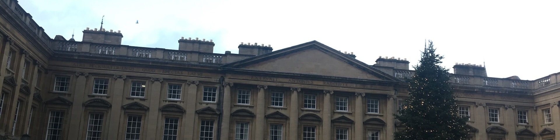 Christchurch christmas tree.