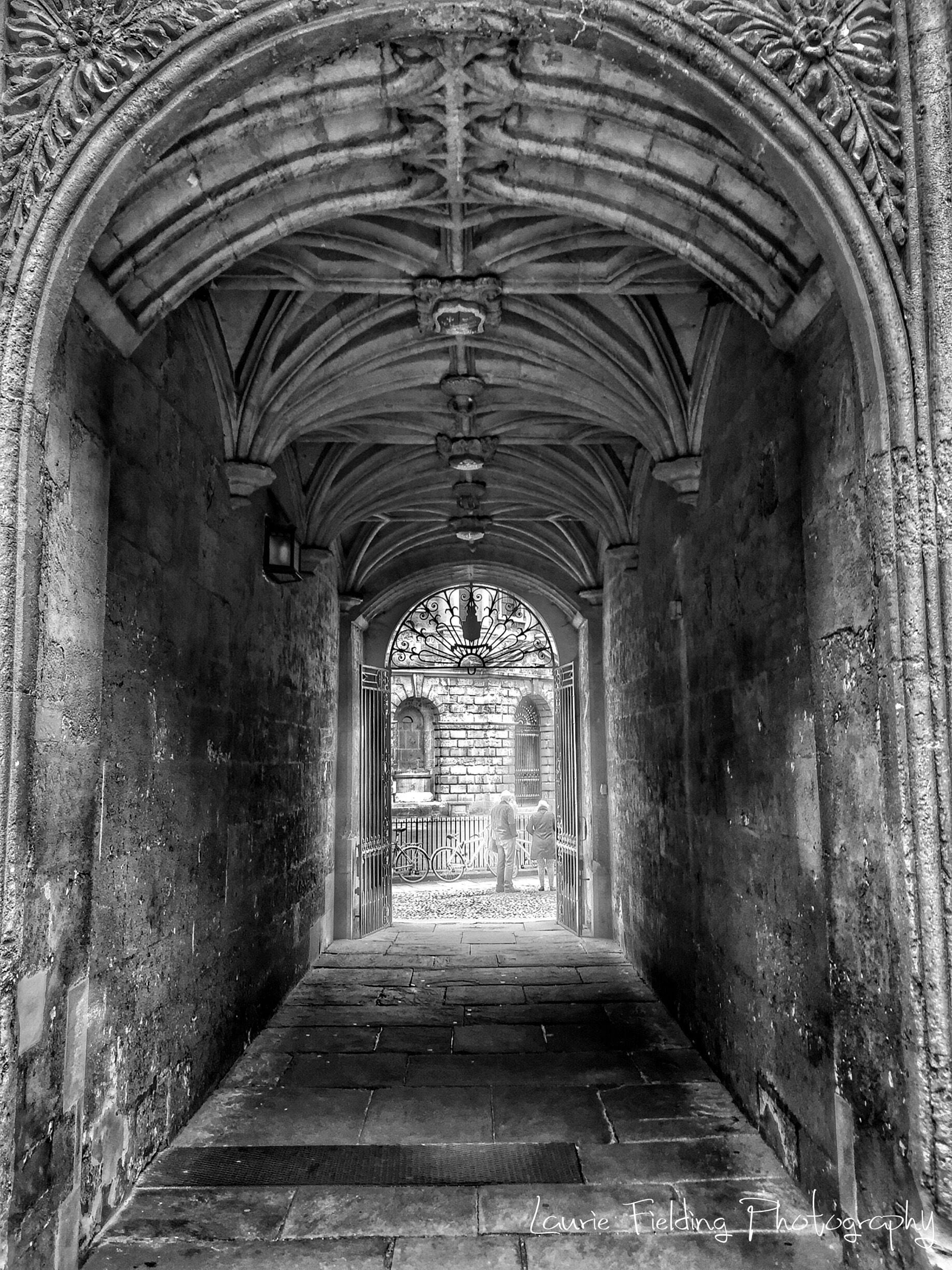 A library is not a luxury but one of the necessities of life - Henry Ward Beecher