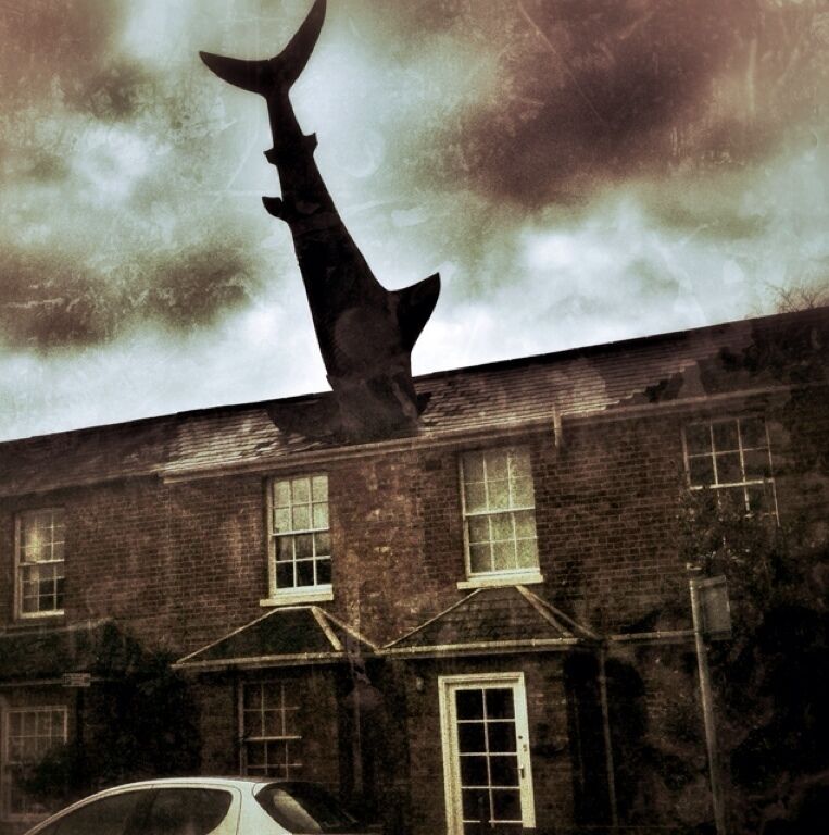 The one and only headington shark (aka Bill). It has a great story attached to it, and has just had its 25th Birthday!
