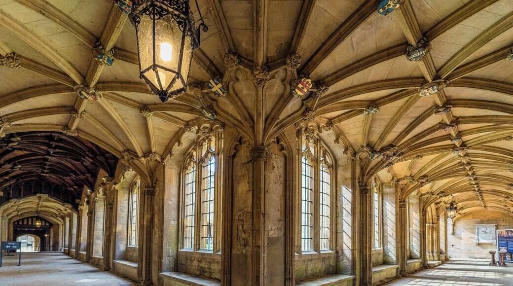 The cloister at Christ Church Cathedral is part of the original priory which existed before the college was built. Human remains from eighth century were found in the central plot.
#Trovember