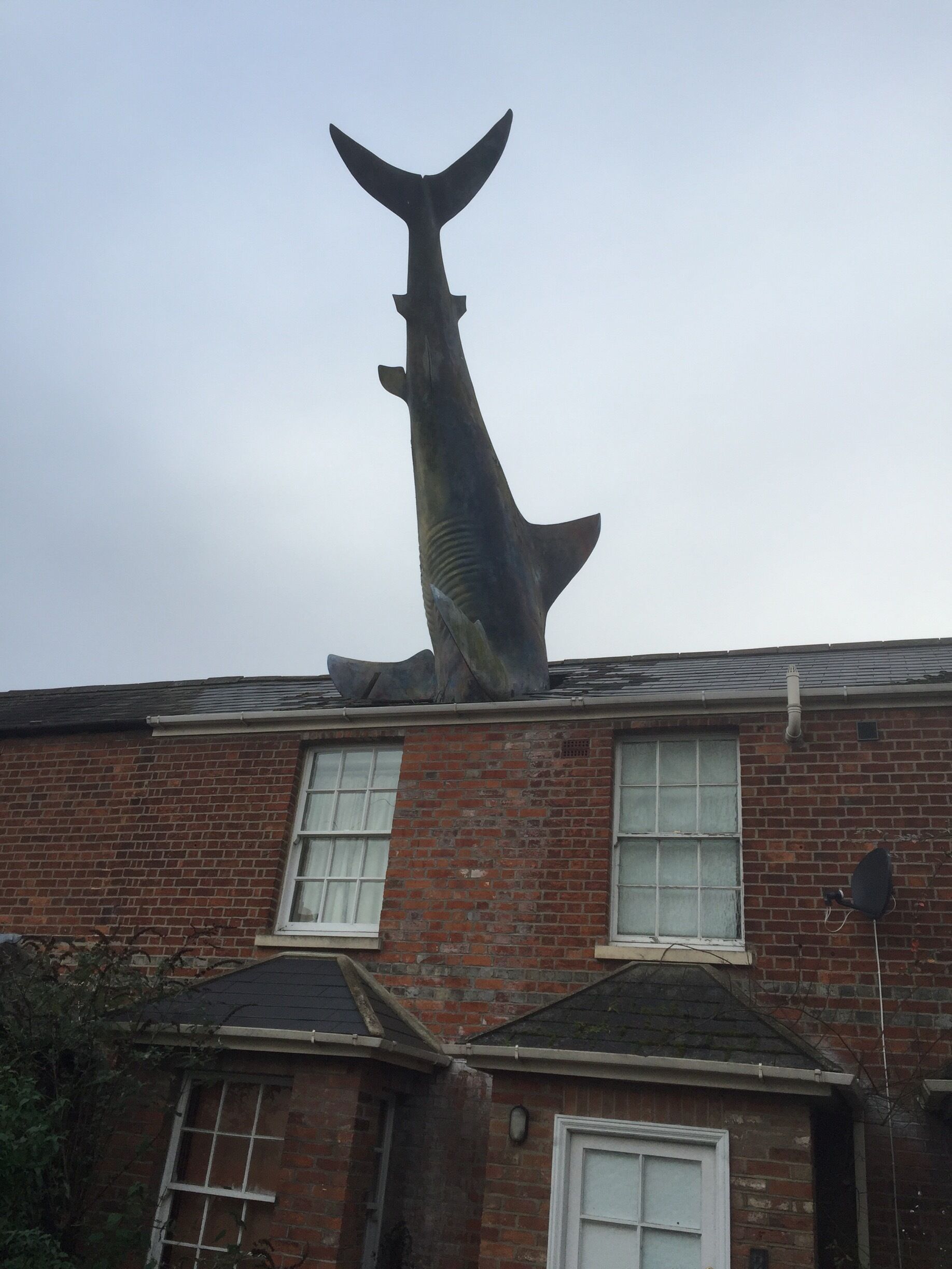 Randomly came across this shark sticking out of the roof of a house in Oxford, England!