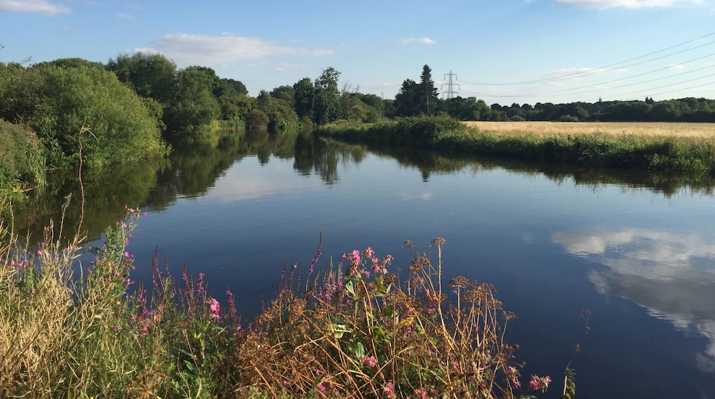 Was taken in August when we walked from the City Centre University Parks all around the countryside. Amazing that there is this expanse of beauty just around the corner from the bustle of town.