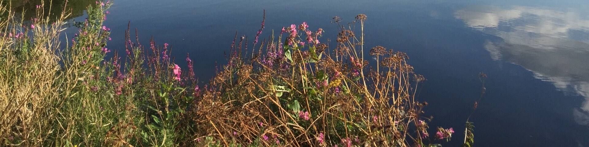 Was taken in August when we walked from the City Centre University Parks all around the countryside. Amazing that there is this expanse of beauty just around the corner from the bustle of town.