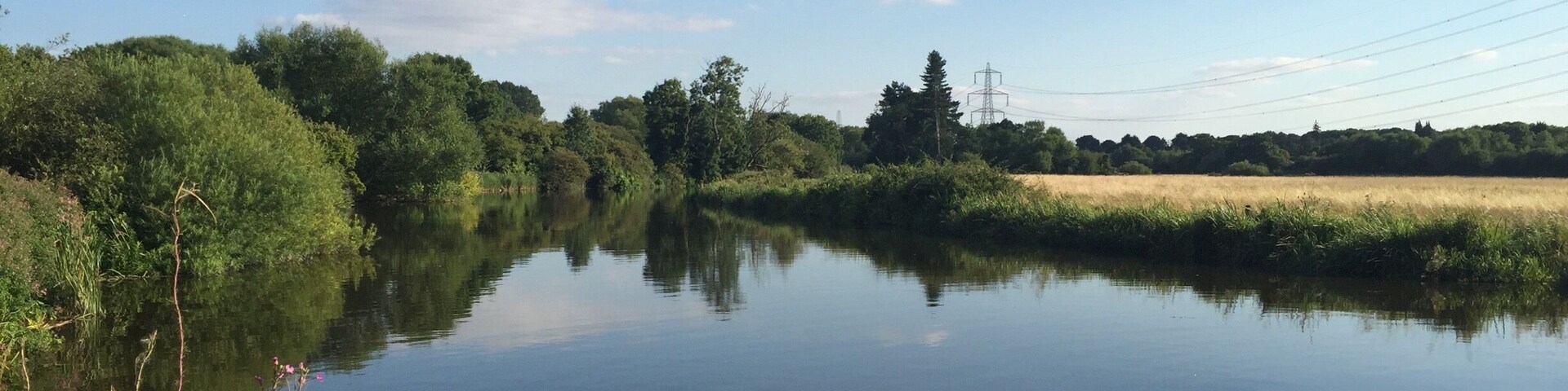 Was taken in August when we walked from the City Centre University Parks all around the countryside. Amazing that there is this expanse of beauty just around the corner from the bustle of town.
