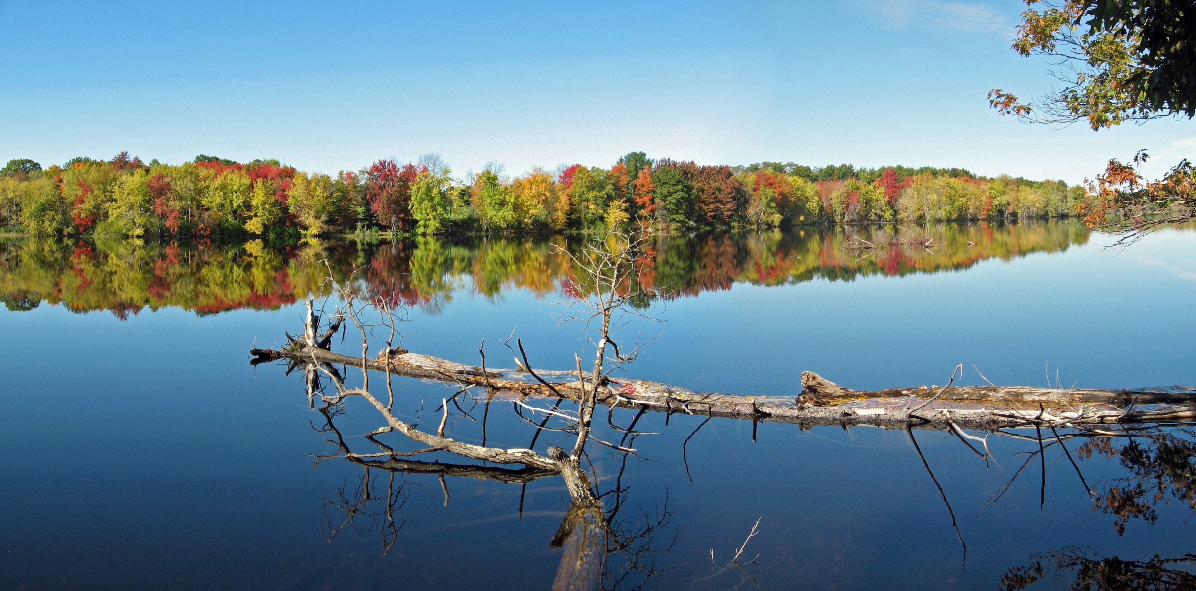 Fall foliage along Stillwater River in Maine
