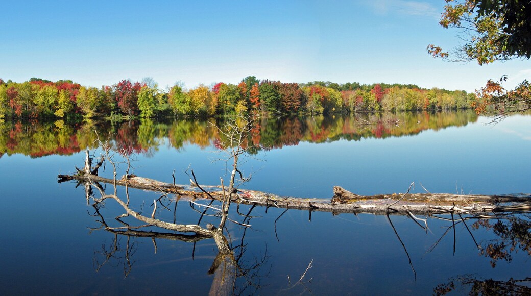 Fall foliage along Stillwater River in Maine