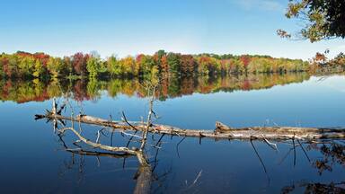 Fall foliage along Stillwater River in Maine
