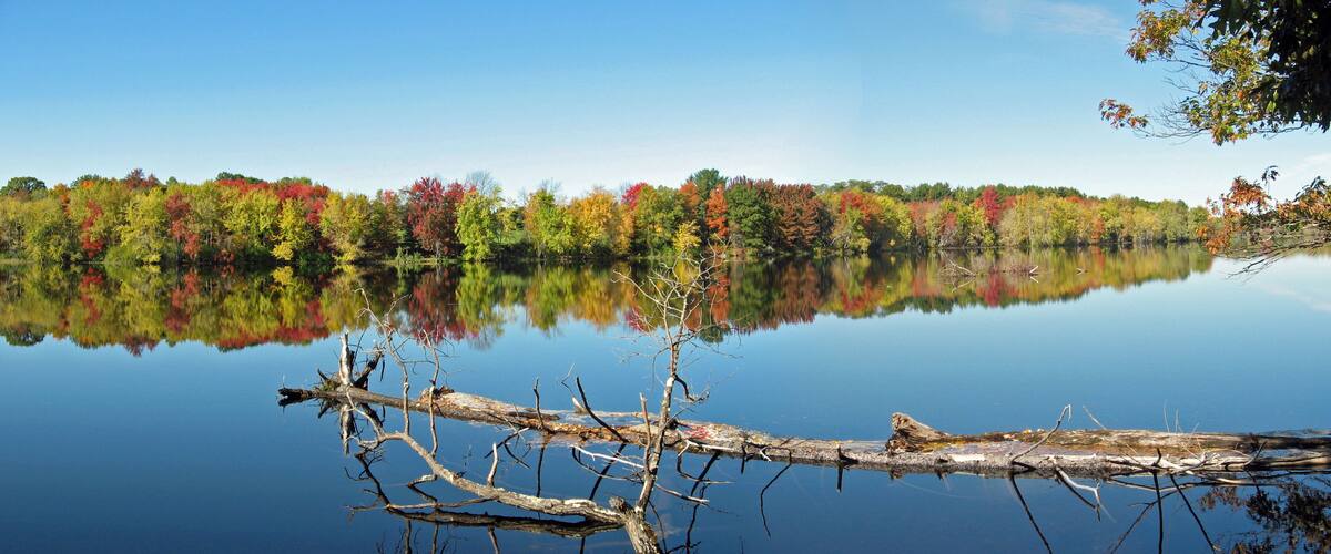 A calm lake with autumn-colored trees reflecting on the water's surface and a fallen tree in the foreground.