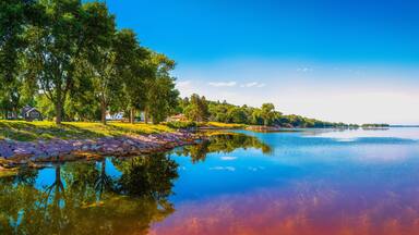 A calm lake with reflections of trees and houses, surrounded by greenery and a clear sky.