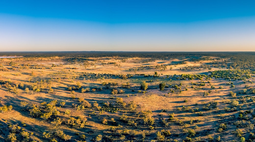 Wide aerial panorama of Australian outback at sunset