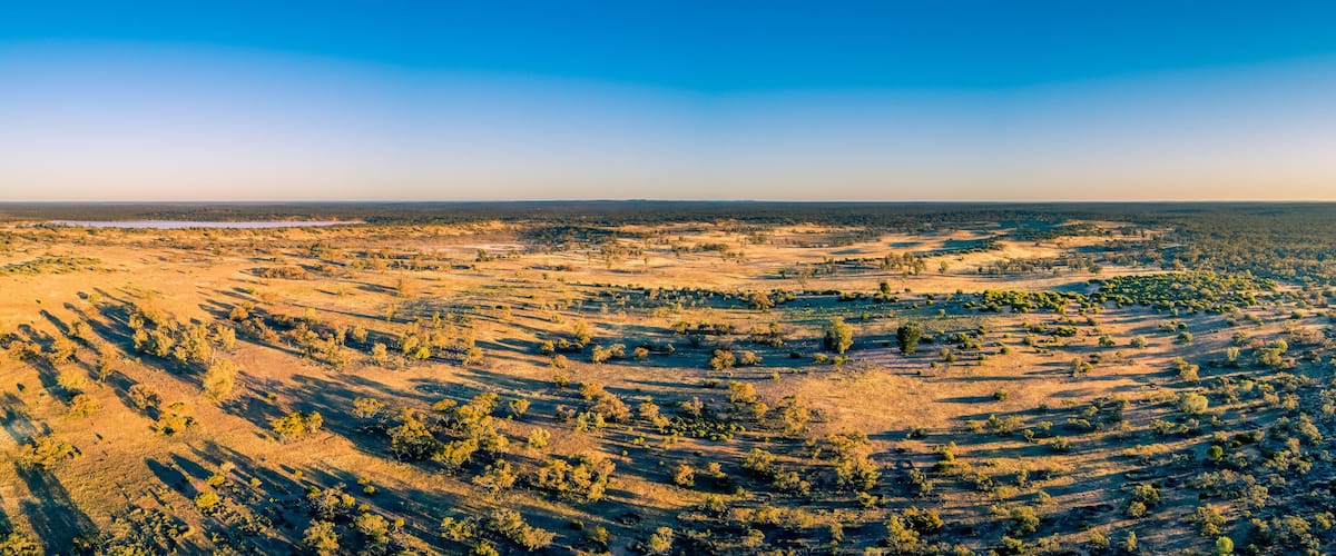 A vast, arid landscape with scattered trees and a distant water body.
