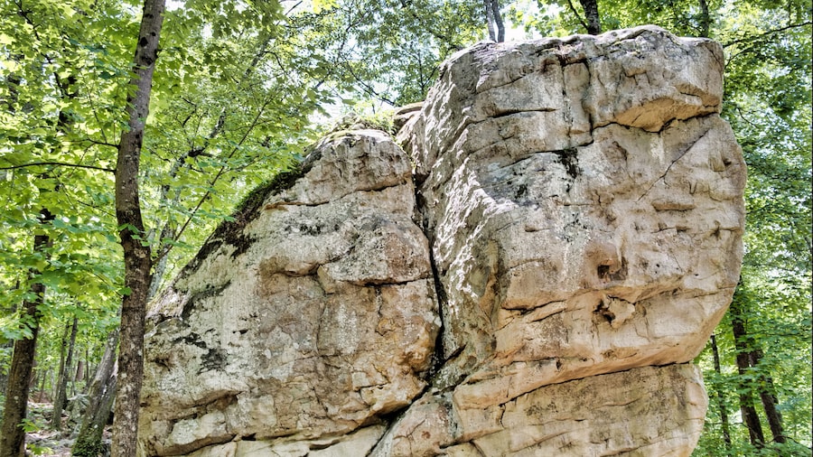 Big Boulder at Moss Rock Preserve in Hoover, Alabama, USA