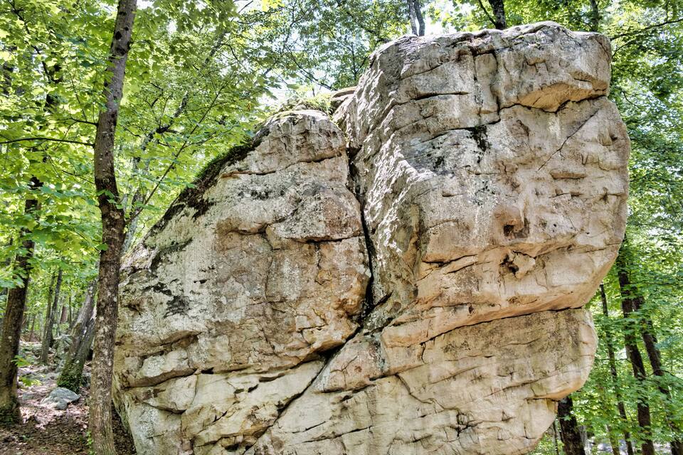 Una gran formación rocosa en un bosque.
