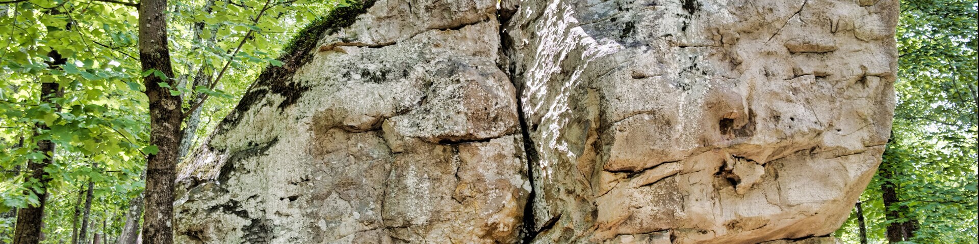 Big Boulder at Moss Rock Preserve in Hoover, Alabama, USA