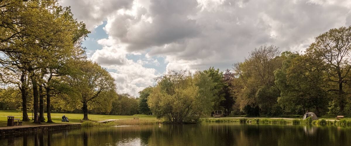 middleton park Forrest walk in spring