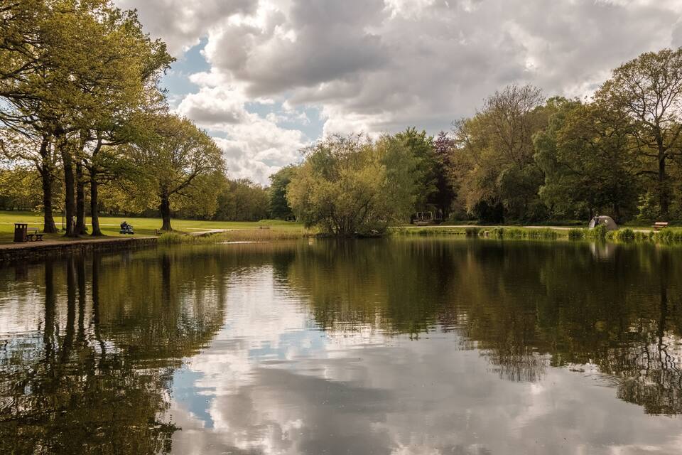 Een rustig meer, omringd door bomen en een picknickplaats.