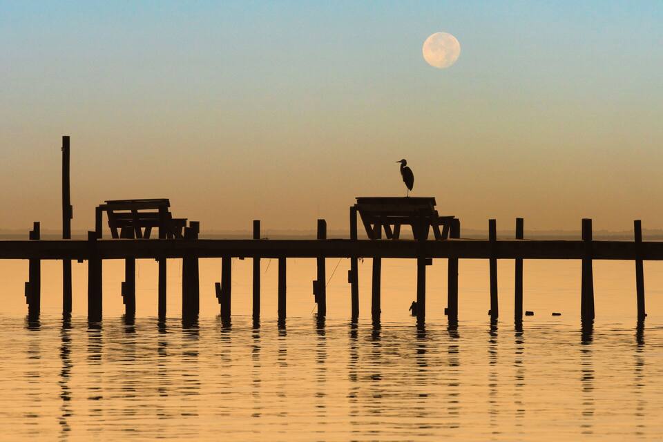 Une jetée s’avançant dans une eau calme, avec un oiseau perché sur un banc et une pleine lune dans le ciel.