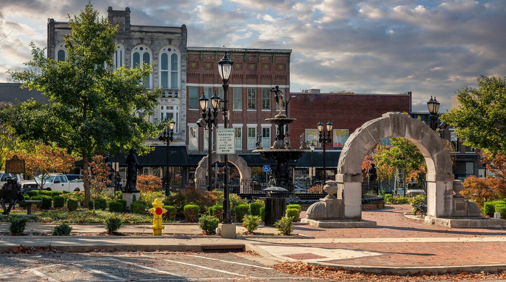タウン センター パーク