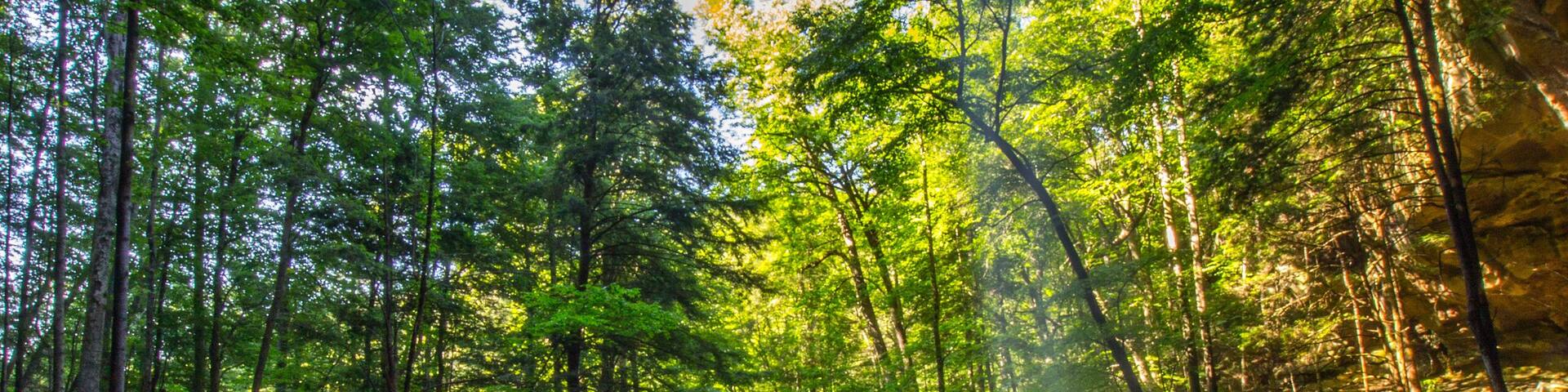Yahoo Falls, Kentucky