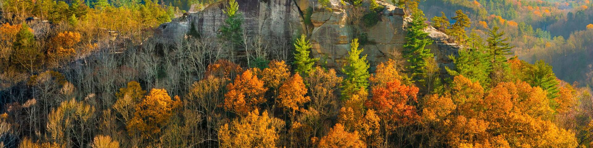 Une falaise rocheuse, avec des feuilles d’automne au premier plan et une chaîne de montagnes boisée en arrière-plan.
