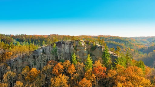 Half Moon Rock, Red River Gorge KY