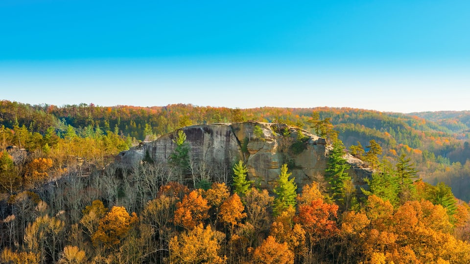 A rocky cliff with autumn foliage in the foreground and a forested mountain range in the background.