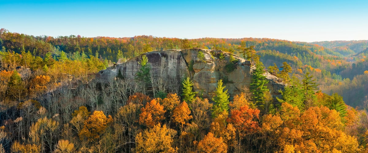 A rocky cliff with autumn foliage in the foreground and a forested mountain range in the background.