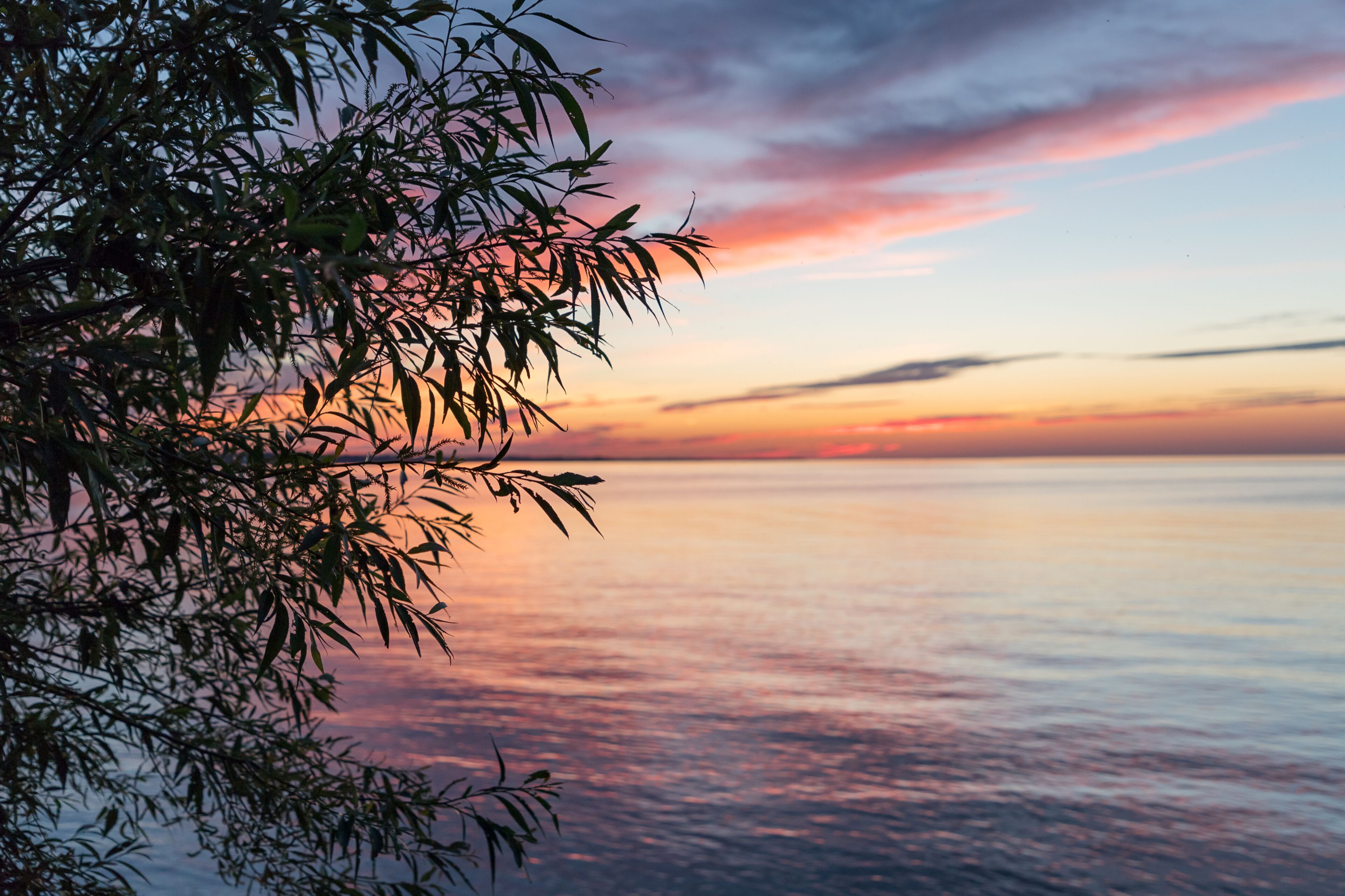 Oswego