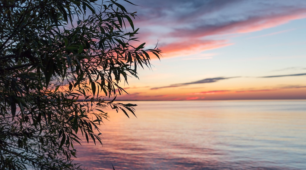 Oswego