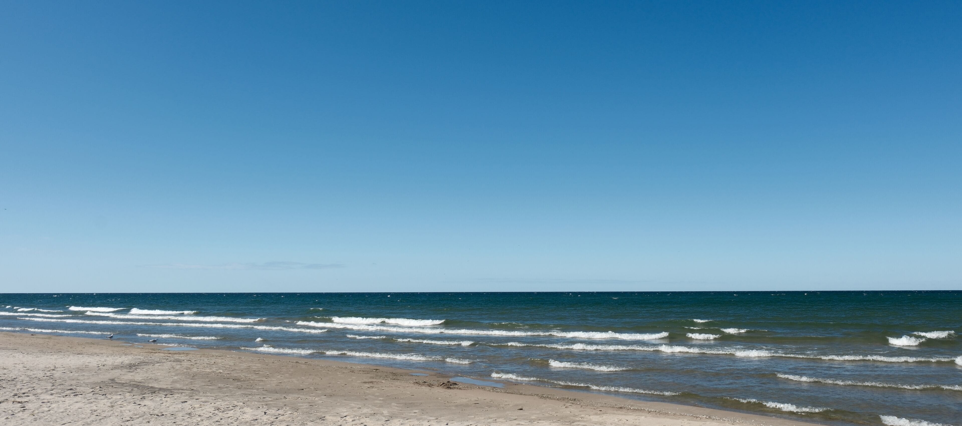 Oswego