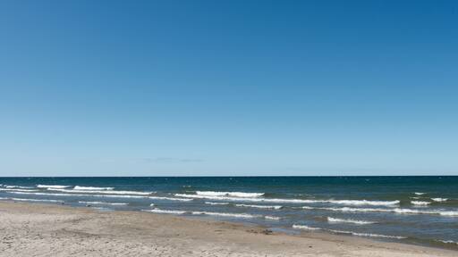 Oswego