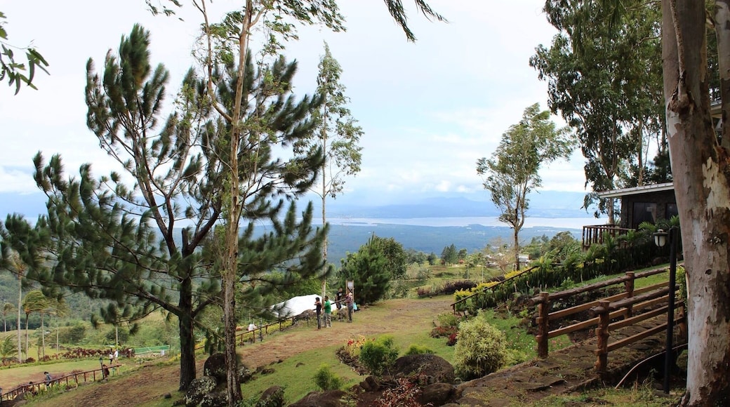 This what you see when you are in Hoyohoy