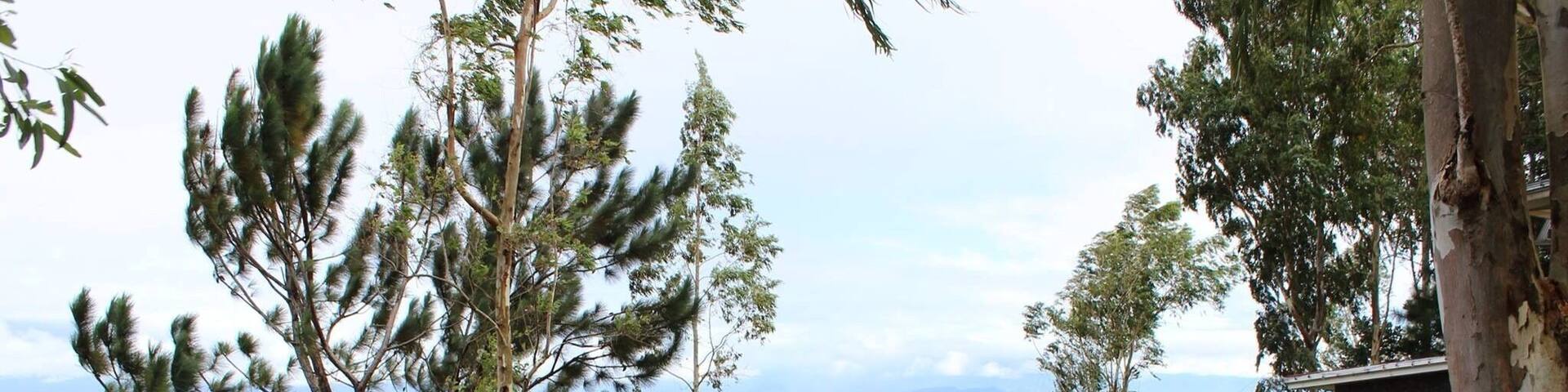 This what you see when you are in Hoyohoy