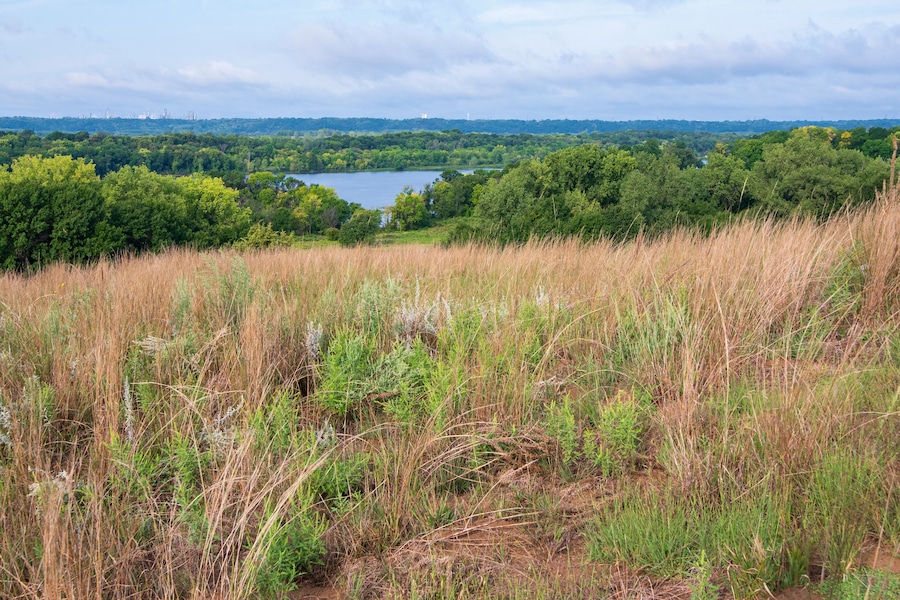 overlooking mooers lake and grey cloud island from prairie