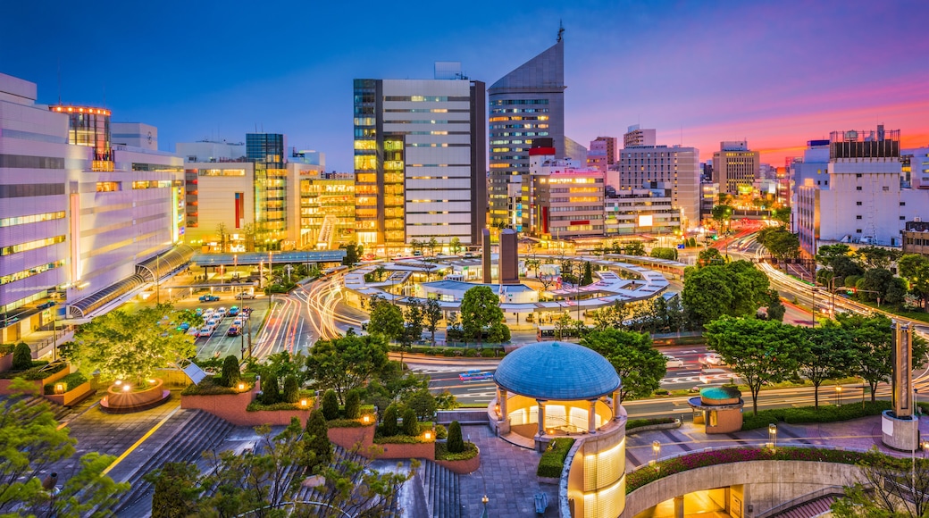 Hamamatsu City, Shizuoka, Japan cityscape at dusk.