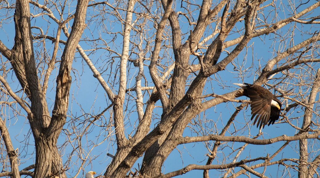 Wings of Freedom Park
