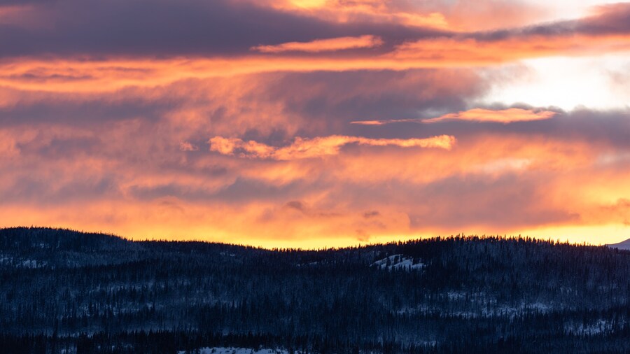 Công viên Đồi Sunrise