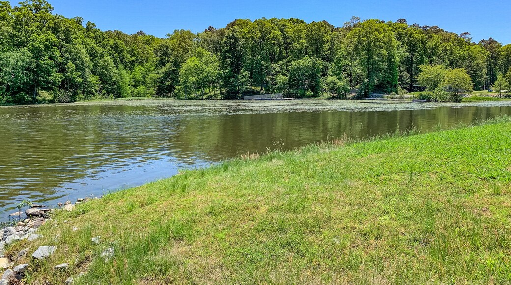 view of Cane Creek Lake in Arkansas