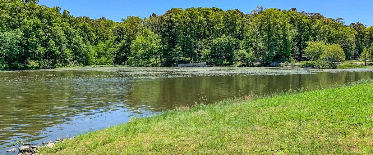 view of Cane Creek Lake in Arkansas