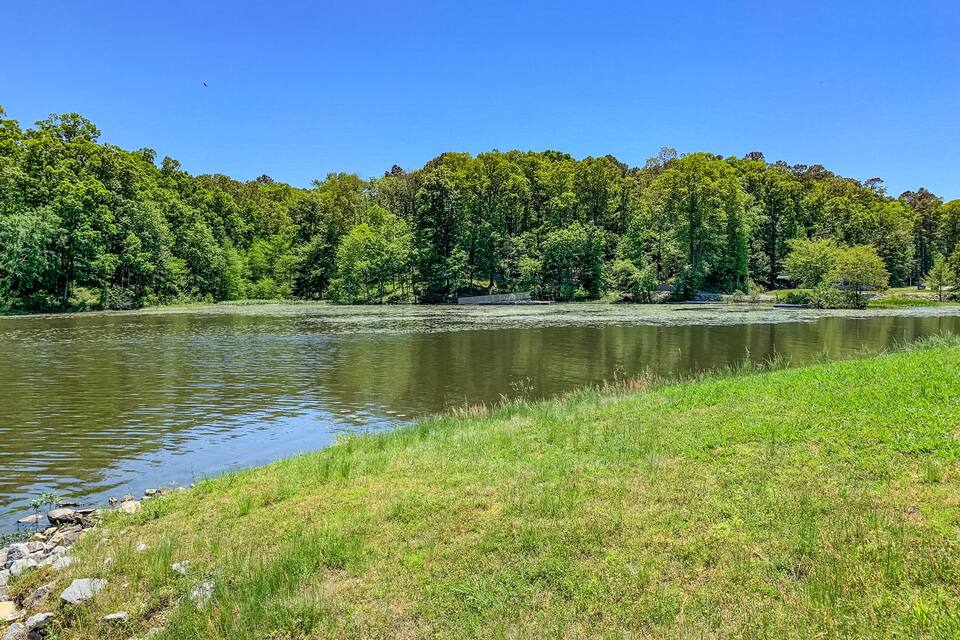 A river with a grassy bank and dense trees in the background.