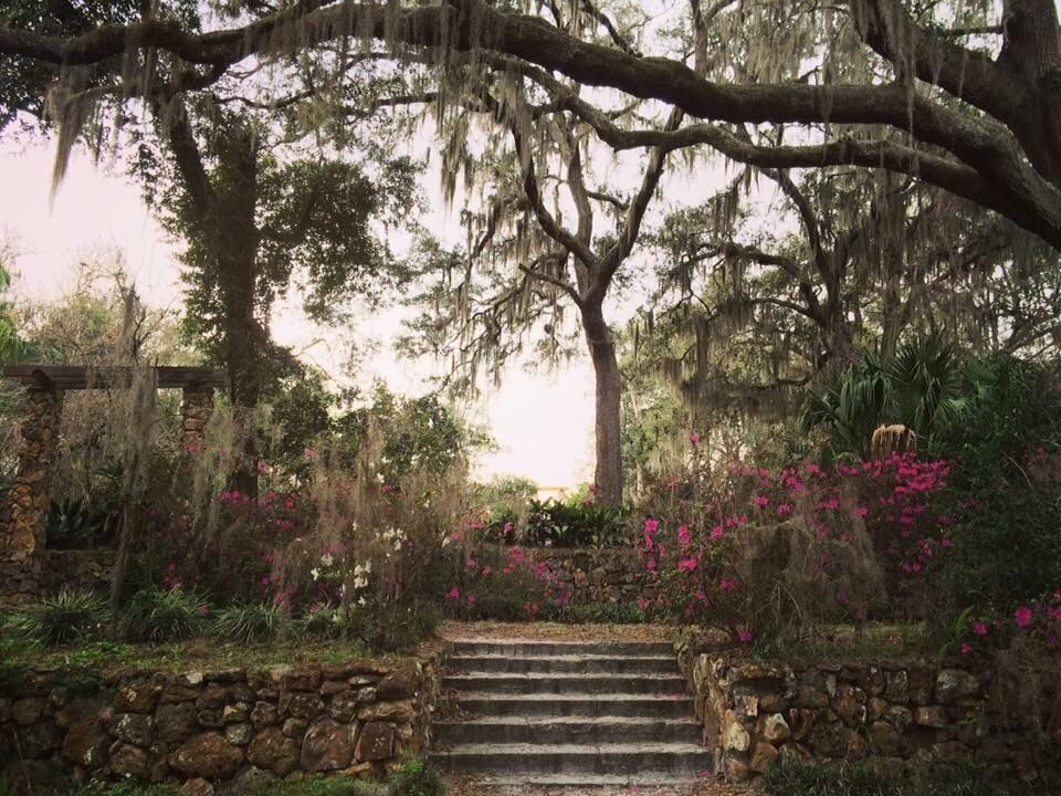 Ravine Gardens State Park